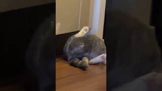 Thumbnail of post image 134