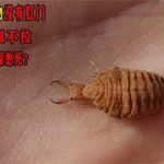 Thumbnail of related posts 101