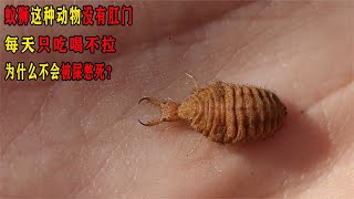 Thumbnail of post image 003