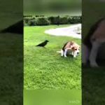 Thumbnail of related posts 053