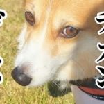 Thumbnail of related posts 130