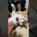 Thumbnail of related posts 091