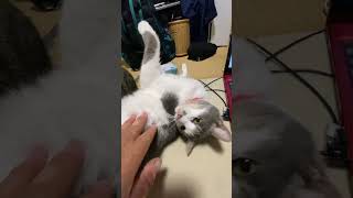 Thumbnail of post image 164