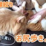 Thumbnail of related posts 136