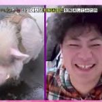 Thumbnail of related posts 145