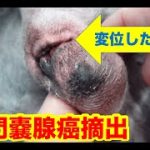 Thumbnail of related posts 032