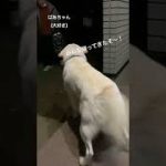 Thumbnail of related posts 174