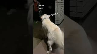 Thumbnail of post image 196