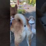 Thumbnail of related posts 097