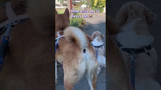 Thumbnail of post image 181