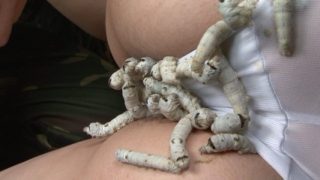 Thumbnail of post image 130