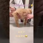 Thumbnail of related posts 161