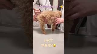 Thumbnail of post image 029