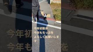 Thumbnail of post image 135