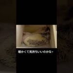 Thumbnail of related posts 062