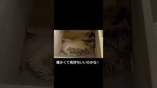 Thumbnail of post image 196