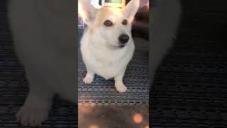 Thumbnail of post image 126