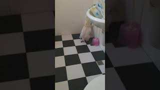 Thumbnail of post image 103