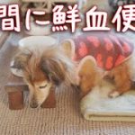 Thumbnail of related posts 180