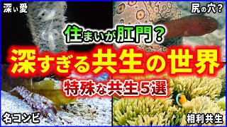 Thumbnail of post image 027