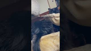 Thumbnail of post image 139