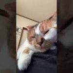 Thumbnail of related posts 027