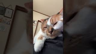 Thumbnail of post image 097