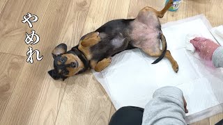 Thumbnail of post image 137