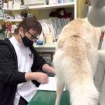 Thumbnail of related posts 168