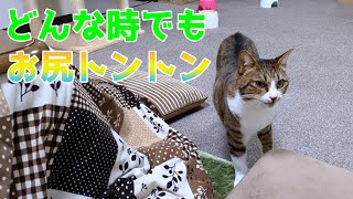 Thumbnail of post image 020