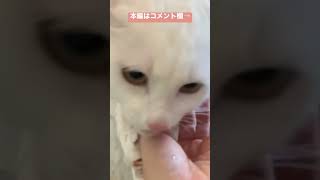 Thumbnail of post image 122