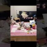 Thumbnail of related posts 193