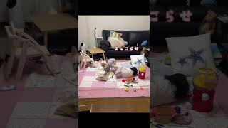 Thumbnail of post image 007