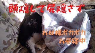 Thumbnail of post image 083