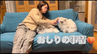 Thumbnail of post image 001