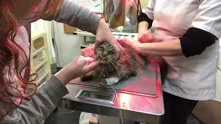 Thumbnail of post image 017