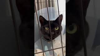 Thumbnail of post image 054