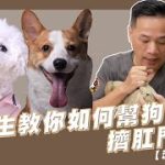 Thumbnail of related posts 184