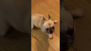 Thumbnail of post image 133