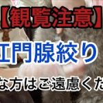 Thumbnail of related posts 058