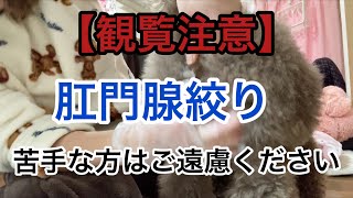 Thumbnail of post image 169