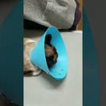 Thumbnail of related posts 087