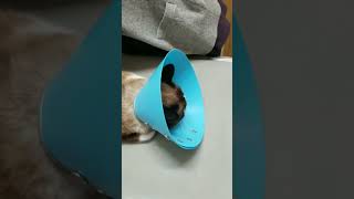 Thumbnail of post image 172