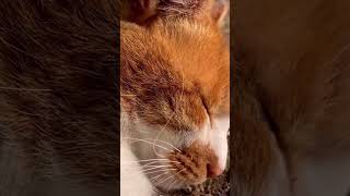 Thumbnail of post image 069