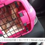 Thumbnail of related posts 177