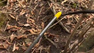 Thumbnail of post image 094