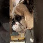 Thumbnail of related posts 082