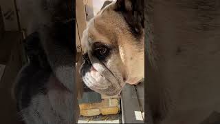 Thumbnail of post image 171