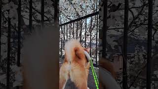 Thumbnail of post image 027