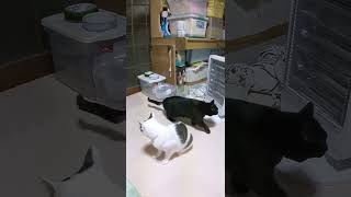 Thumbnail of post image 137